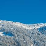 Winterfoto - Panoramaansicht Grieszenkar - Wagrain